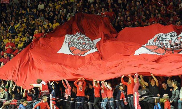 Brissac Aubance Basket débutera ses matchs de préparation contre Niort, le Mardi 26 Août.