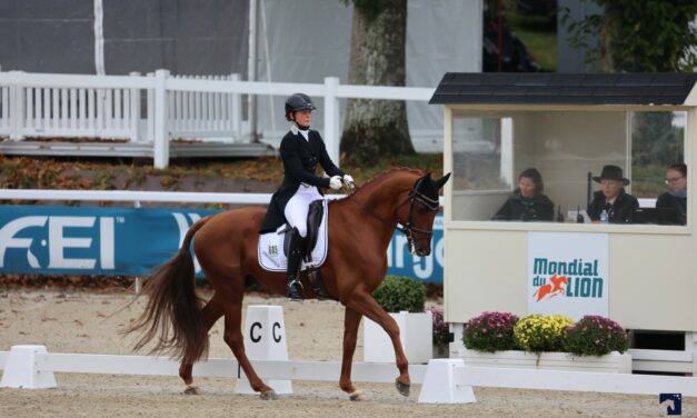 Killer Queen remporte les 6 ans au Mondial du Lion avec Merel Blom-Hulsman.