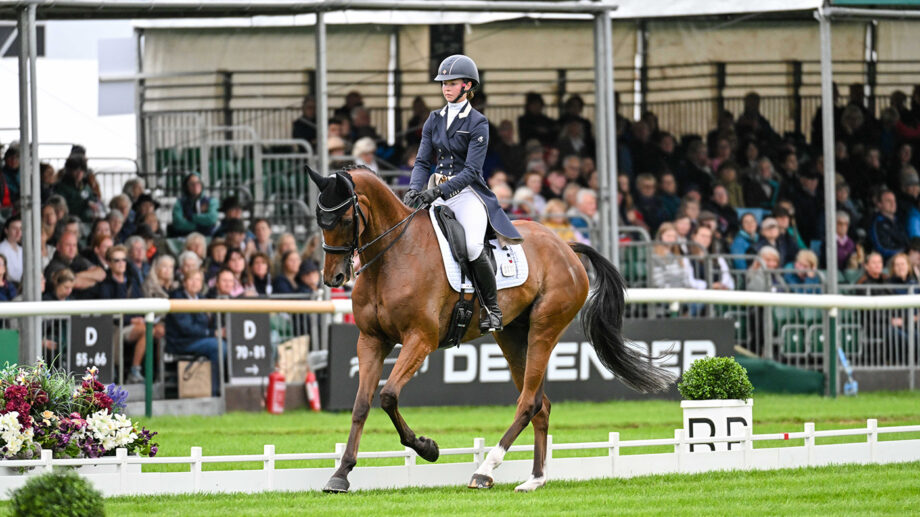 L’Anglaise Lizzie Baugh remporte le dressage des 7 ans, deux “Chilli Morning” sur le podium !