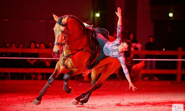 Succès confirmé pour cette 8e édition du Salon du Cheval d’Angers.